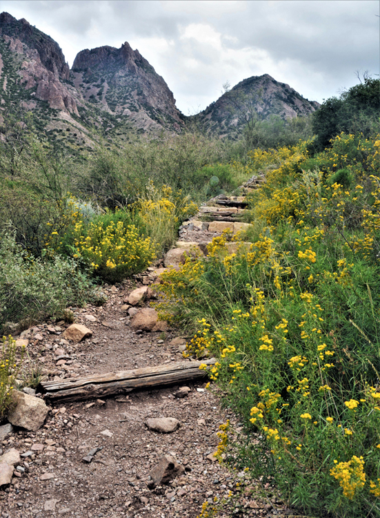 along the window trail